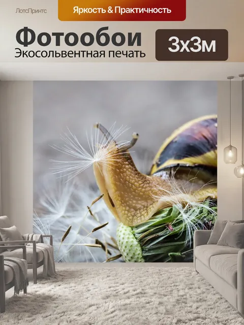 Фотообои Улитка