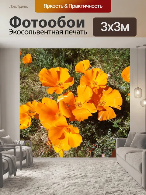 Фотообои Золотые маки