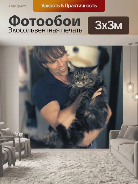 Фотообои Мейн кун
