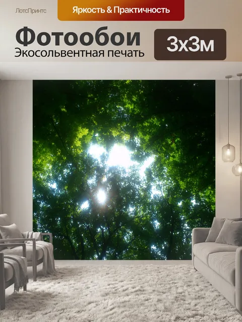 Фотообои Солнечный свет сквозь деревья