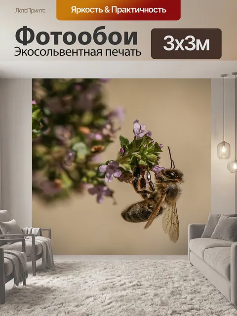 Фотообои Пчела
