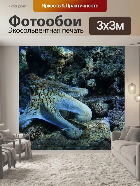 Фотообои Осьминог