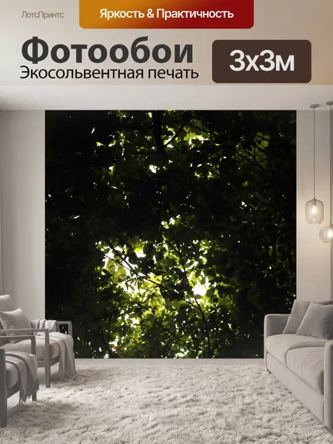Фотообои густая листва деревьев навеса