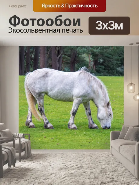 Фотообои Белая лошадь