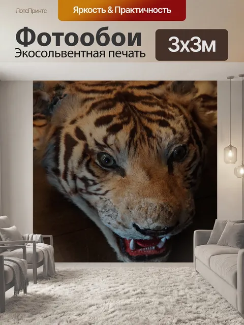 Фотообои Грудь тигра