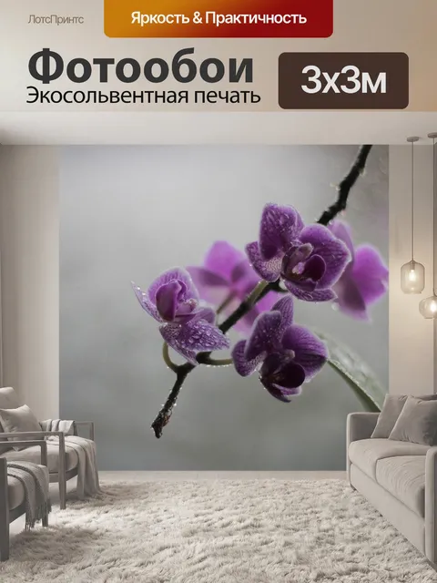 Фотообои Орхидея