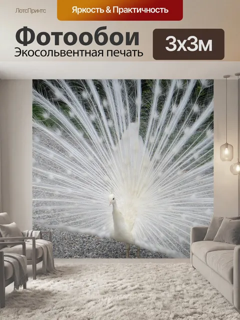 Фотообои Павлин