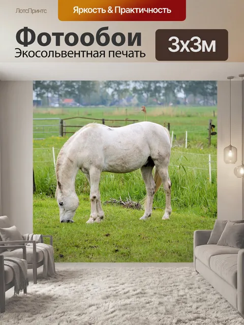 Фотообои Лошади и ферма пони