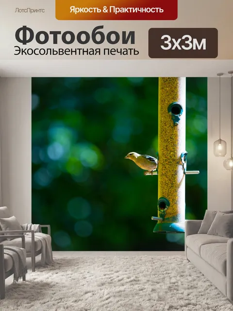 Фотообои Сад Кормушку
