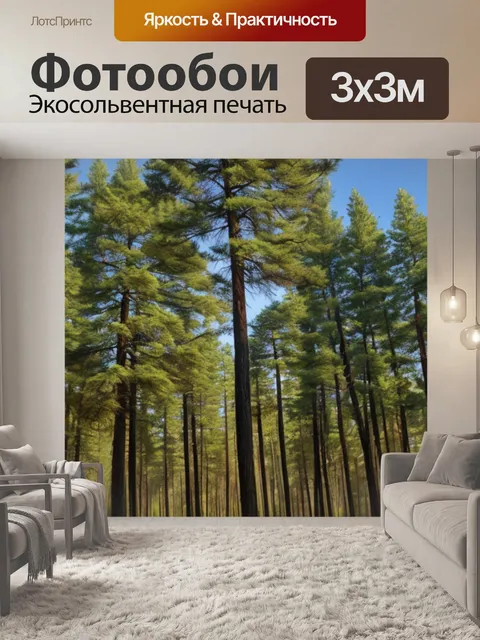 Фотообои с соснами