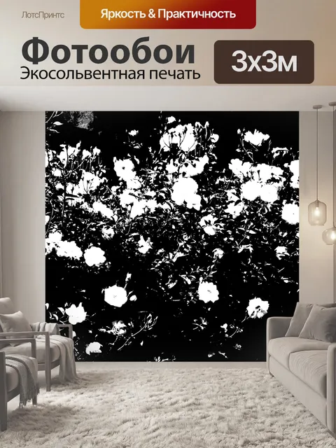 Фотообои белые цветы на черном фоне