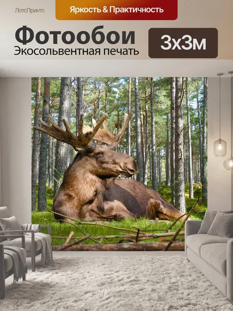 Фотообои Лось