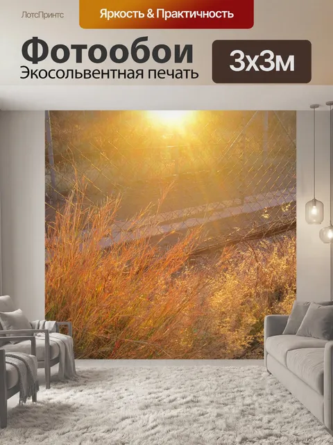 Фотообои Вельд купается в солнечном свете