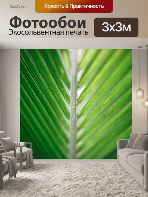 Фотообои Кокосовый лист
