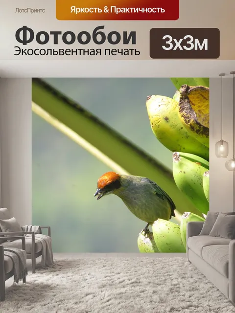 Фотообои Природа