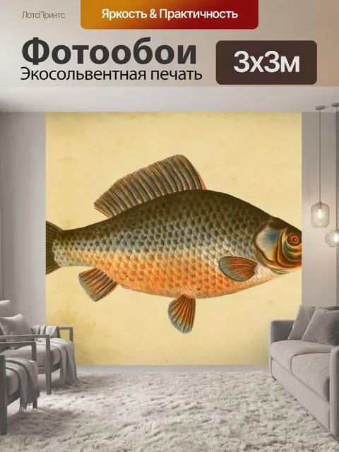 Фотообои Рыба Карп Винтаж Искусство