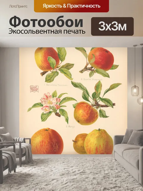 Фотообои Старинный фруктовый сад