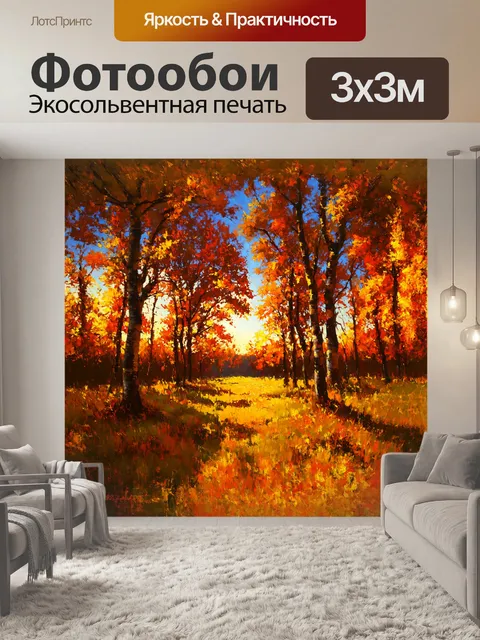 Фотообои золотая березовая роща на закате, листья шуршат на ветру