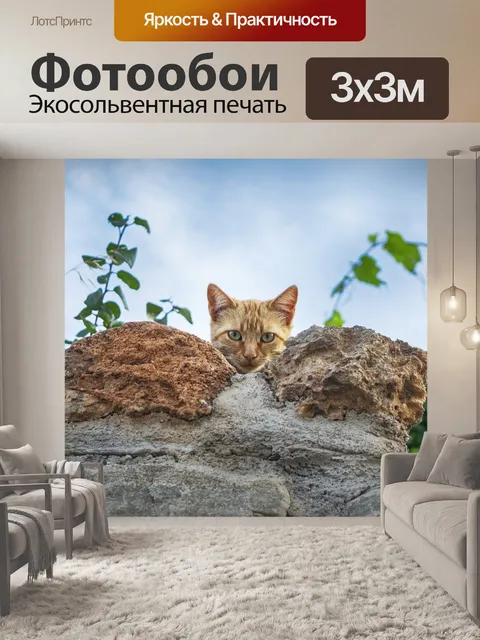 Фотообои Кот
