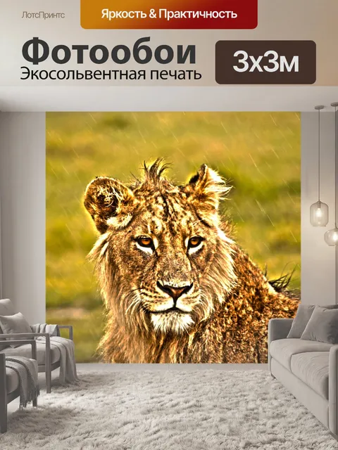 Фотообои Лев