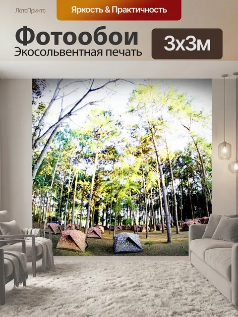 Фотообои кемпинг в сосновом Форрест на Фу Хин Рон