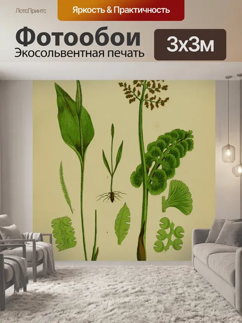 Фотообои Винтажные листья луноцвета