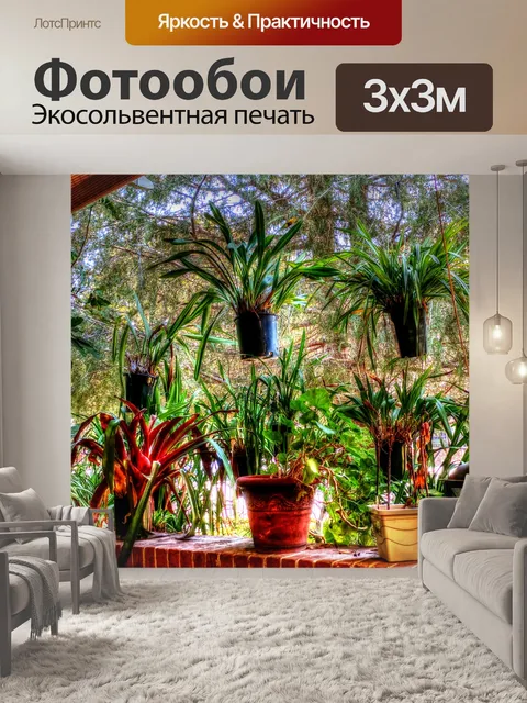 Фотообои Горшечные растения