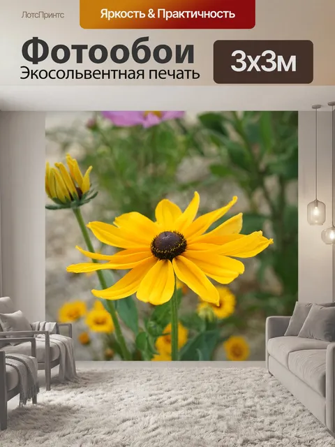 Фотообои Так называемый цветок - черноглазая Сьюз