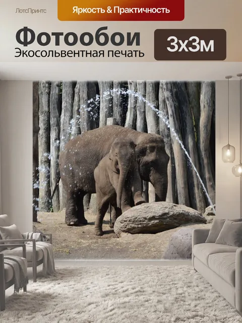 Фотообои В ванне со слонами 10