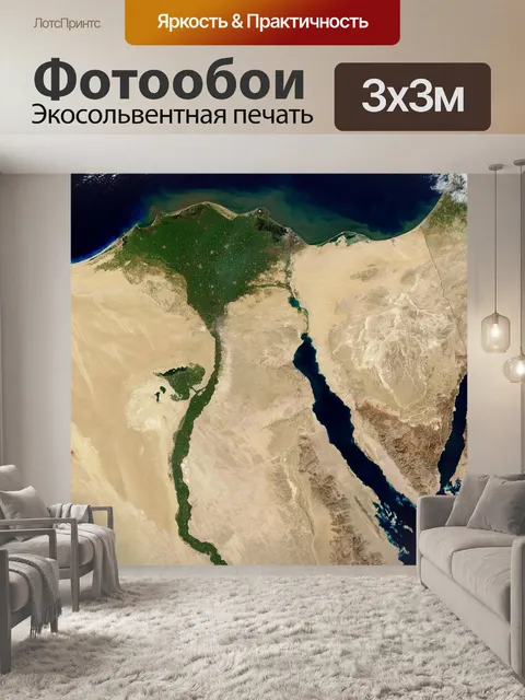 Фотообои Карта
