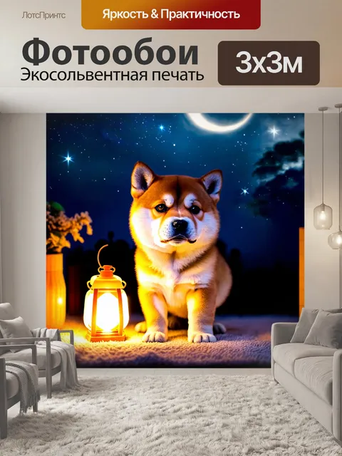 Фотообои щенок сиба-ину, исследующий мир вокруг, с ярким фонарем и звездным небом дома