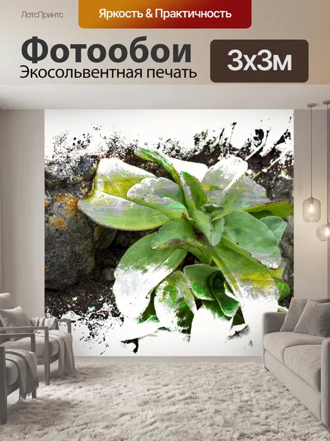 Фотообои Растение, растущее сквозь камни