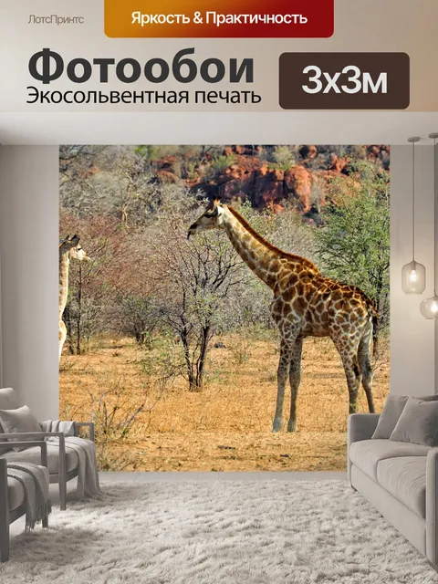 Фотообои Африке