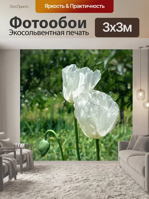 Фотообои Мак