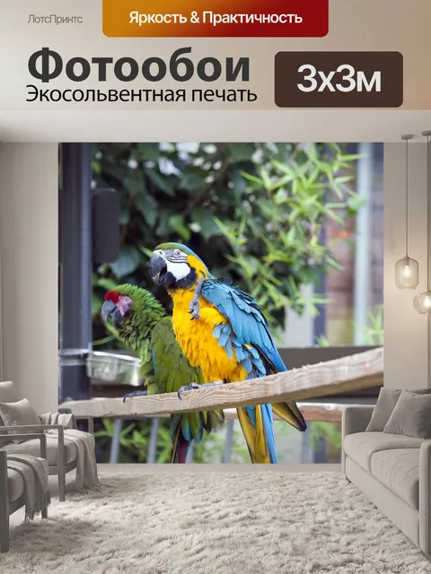 Фотообои Ара