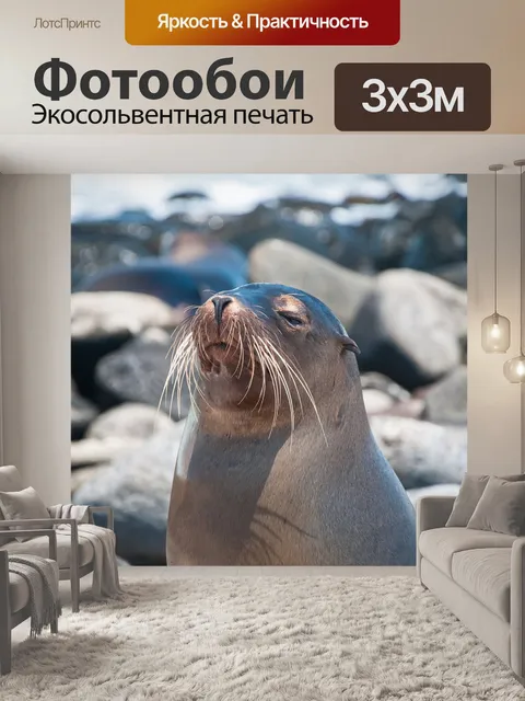 Фотообои Галапагосские острова