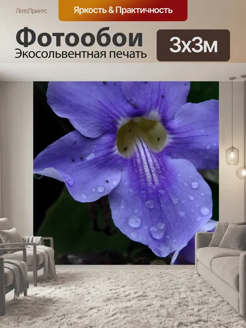 Фотообои Фиолетовый цветок с каплями дождя