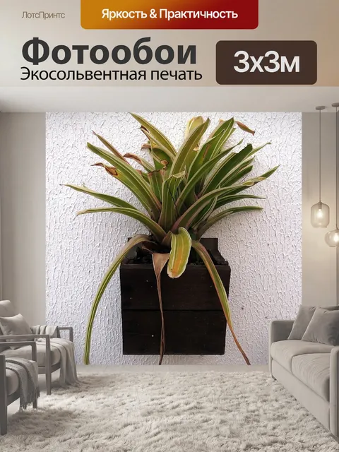Фотообои Тропики