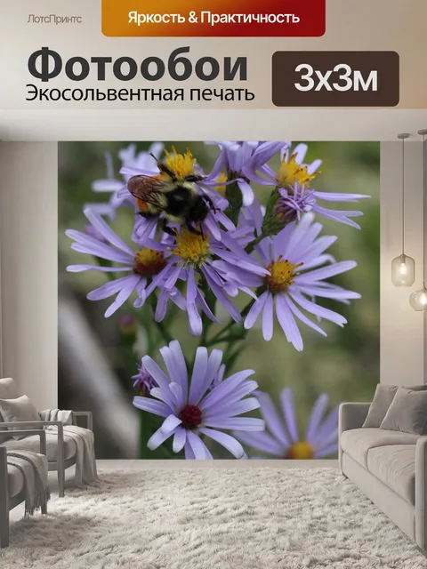 Фотообои Bumble Bee Фиолетовый Дикий цветок