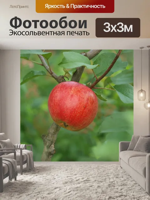 Фотообои Яблоко