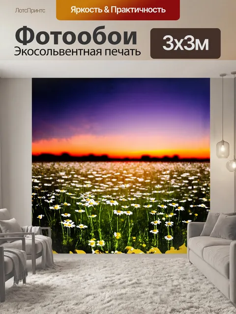 Фотообои поле ромашек под вечерним закатом, когда небо наполняется оранжевыми и фиолетовыми оттенками