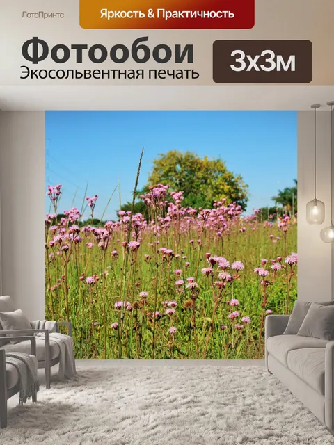 Фотообои Розовый чертополох в степи