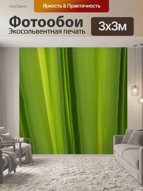 Фотообои Задний план