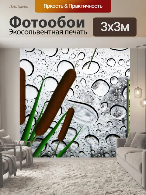 Фотообои Кэттейл в дождь