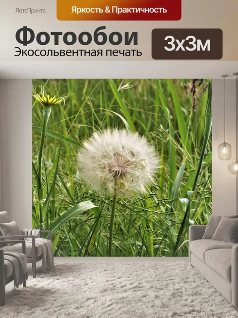 Фотообои Желтый Salsify Wildflower Seedhead
