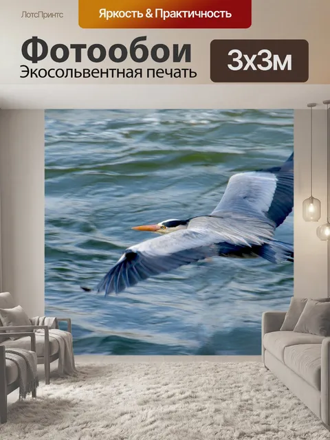 Фотообои Летающий
