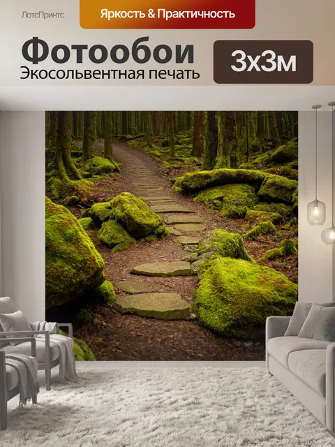 Фотообои лес с каменными тропами и покрытыми мхом скалами