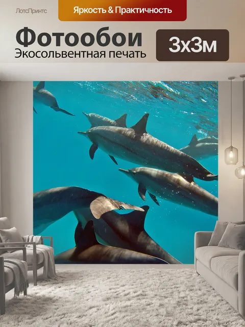 Фотообои Delfin