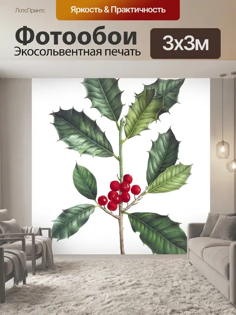 Фотообои Ветка ягод омелы прозрачная