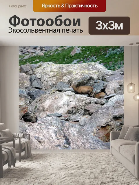 Фотообои Гора